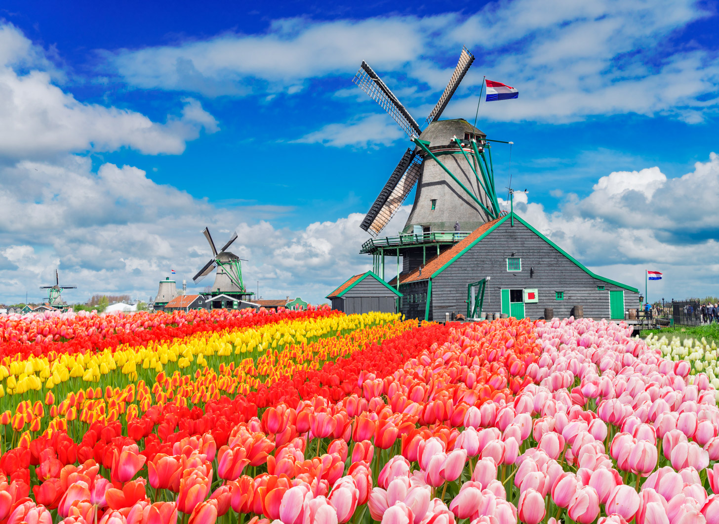 Nederland